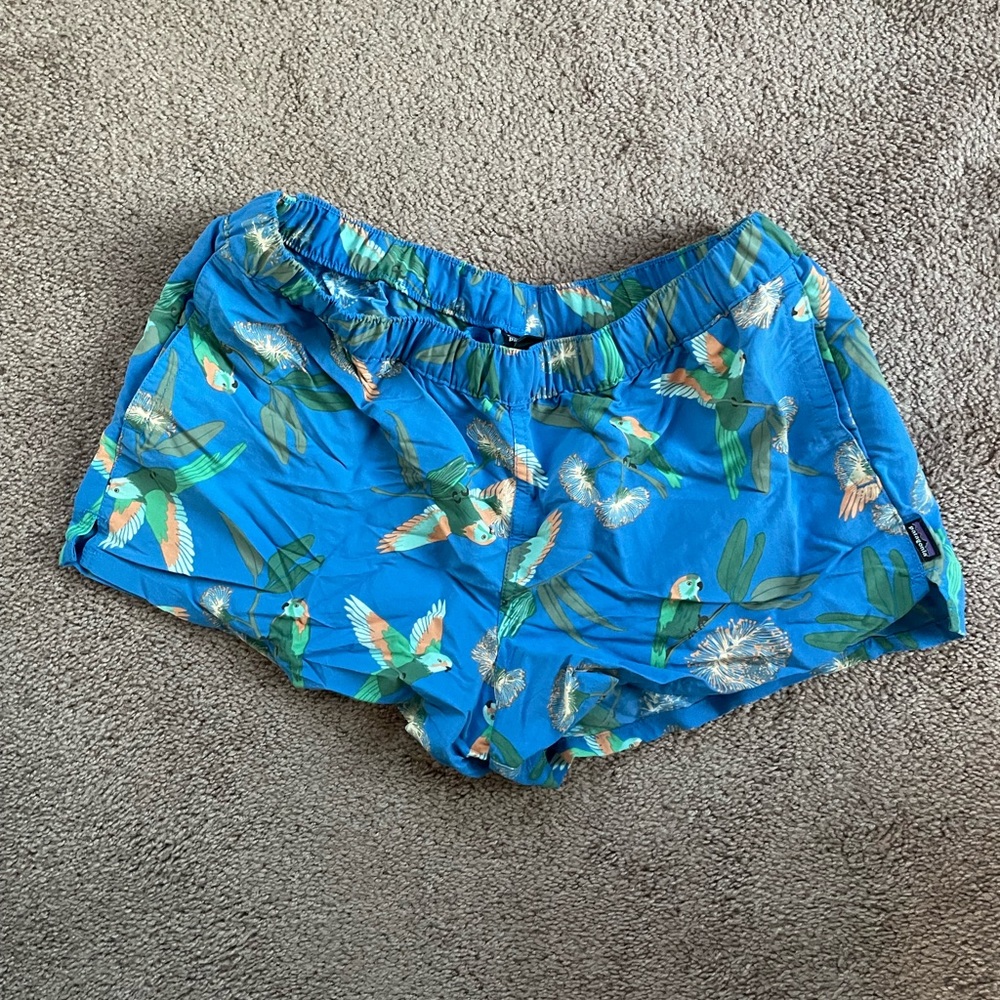 Patagonia Baggies Shorts Worn Wear